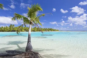 French Polynesian Prints: Green Lagoon, Fakarava, Tuamotu Islands, French Polynesia