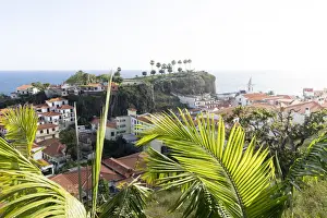 Subtropical Climate Prints: Green lush plants surrounding Camara de Lobos old town, Madeira island, Portugal