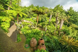 Images Dated 7th August 2023: Green plants and trees at Monte Palace Tropical Garden, Funchal, Madeira, Portugal