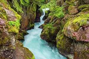 Western Prints: Green water at Avalanche Gorge, Glacier National Park, Montana, USA