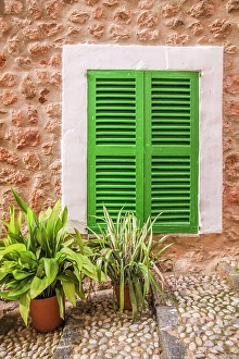 Green window and plants in the mountain village of Fornalutx, Serra de Tramuntana, Mallorca, Balearic Islands, Spain