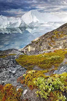 Greenland, DiskoBay, Morning light on icebergs of Kangerlua Fjord at dawn; in foreground