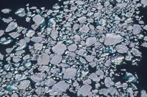 Floating Prints: Greenland, Narsarsuaq-Area, Tunulliarfik Fjord, aerial view with floating ice