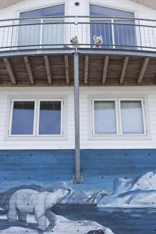 Julianehab Prints: Greenland, Qaqortoq, polar bear mural