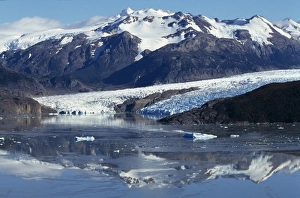 Grey Glacier Prints: Grey Glacier & Lago Grey