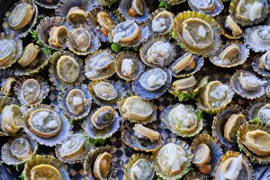 Images Dated 25th August 2020: Grilled limpets with garlic, a delicacy. Moledo do Minho, Portugal