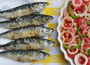 Images Dated 13th October 2011: Grilled sardines, a delicacy. Setubal, Portugal