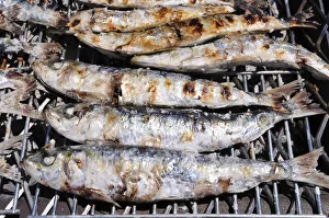 Culinary Prints: Grilled sardines, one of the delights of Setubal. Portugal