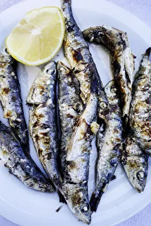 Speciality Prints: Grilled Sardines. Speciality of Mytilni, Lesbos, Greece