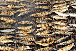 Images Dated 8th March 2012: Grilled sardines. Winter Festivities. Grijo de Parada, Tras-os-Montes, Portugal