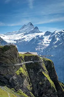 Grindelwald Prints: Grindelwald First and Schreckhorn, Grindelwald, Berner Oberland, Switzerland