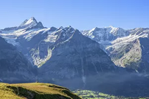 Images Dated 1st September 2021: Grindelwald with Schreckhorn and Fiescherhorn, Berner Oberland, Canton Berne, Switzerland