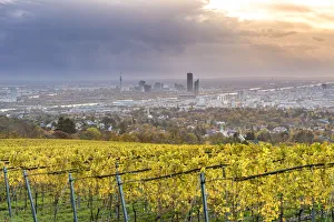Grinzing, Vienna, Austria, Europe. View at sunrise from the vineyards around Grinzing