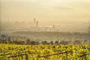 Grinzing, Vienna, Austria, Europe. View at sunrise from the vineyards around Grinzing