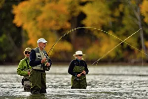 Fly Fishing Prints: Grizzly bear viewing and photography from a boat