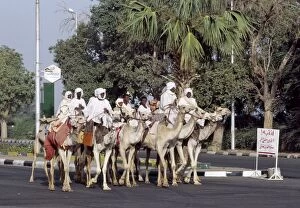 Sudan Gallery: A group of men ride their camels up a main street in Khartoum