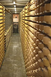 Images Dated 1st February 2013: Gruyere cheese in cellar at La Maison du Gruyere, Gruyeres, Fribourg, Switzerland