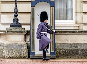 London Prints: Guard at Buckingham Palace, London, England, United Kingdom