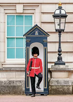 Images Dated 28th November 2022: Guard at the Buckingham Palace, London, England, United Kingdom