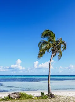Holguin Province Prints: Guardalavaca Beach, Holguin Province, Cuba
