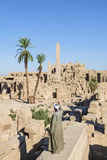 Images Dated 14th May 2020: Guardian at the Karnak Temple, Luxor, Egypt, Africa