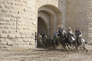 Costume Gallery: Guardians running black bulls through the streets of Aigues-Mortes, Camargue