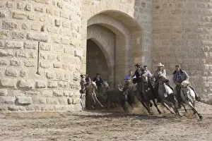 Guardians running black bulls through the streets of Aigues-Mortes, Camargue