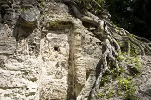 Tikal Prints: Guatemala, El Peten, Tikal, Plaza De Los Siete Templos Temple of the Seven Temples