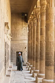Images Dated 14th May 2020: Guradian at the Temple of Philae on an island in Lake Nasser, Nile River, Aswan, Egypt