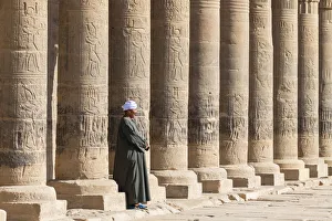 Guradian at the Temple of Philae on an island in Lake Nasser, Nile River, Aswan, Egypt