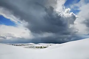 Chihuahua Desert Prints: Gypsum desert White Sands with thunderstorm clouds - USA, New Mexico, Otero