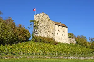 Canton Aargau Prints: The Habsburg, ancestral seat of the Habsburg dynasty, Habsburg, Aargau, Switzerland