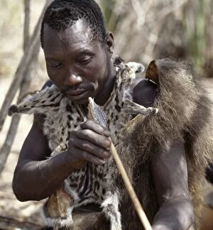 African Tribe Gallery: A Hadza hunter checks the straightness of a new arrow shaft