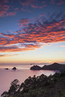 Oceania Gallery: Hahei beach at sunrise, Coromandel Peninsula, North Island, New Zealand