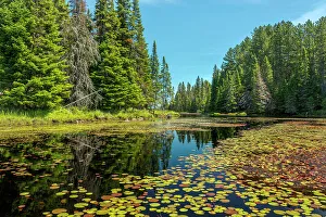 Provincial Park Prints: Hailstorn Creek, Algonquin Provincial Park, Ontario, Canada