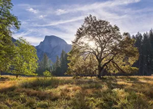Images Dated 18th May 2016: Half Dome from Cooks Meadow, Yosemite Valley, California, USA. Autumn (October) 2015