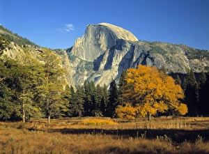 Us A Prints: Half Dome, Yosemite NP