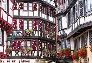 Images Dated 4th April 2018: Half-timbered houses of the old town of Colmar, Alsatian Wine Route, France