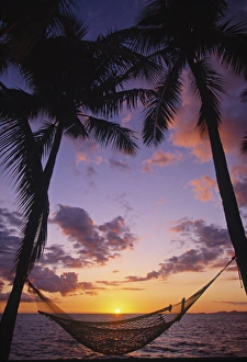 Fiji Prints: Hammock on beach