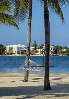 Images Dated 5th May 2020: Hammock at North Side, Grand Cayman, Cayman Islands