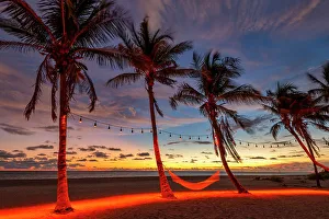 Illuminate Prints: Hammock Between Palm Trees at Sunset, Captiva Island, Florida, USA