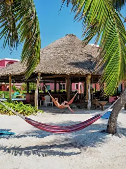 Girl Prints: Hammock at the waterfront of San Pedro Town, Ambergris Caye, Belize District, Belize