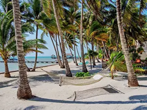San Pedro Town Prints: Hammock at the waterfront of San Pedro Town, Ambergris Caye, Belize District, Belize