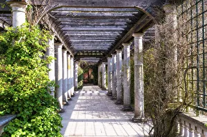 Hampstead Pergola, London, England