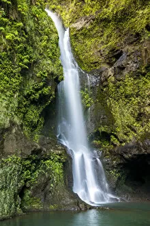 Cascade Collection: Hanawi Falls, Maui, Hawaii, USA