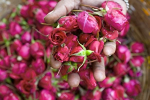 Delhi Prints: Hand holding small rose heads