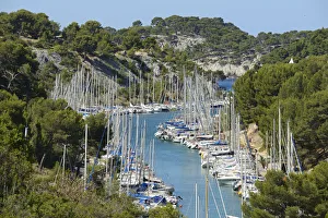 Cassis Prints: Harbour in Cassis, Provence Alpes Cote d Azur, Provence, France, Europe