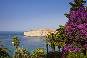 Dubrovnik Prints: Harbour, Dubrovnik, Dalmatia, Croatia