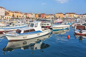 Dalmatian Prints: Harbour and marina in old town of Rovinj, Rovigno, Istria, Croatia