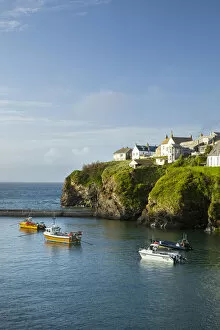 Images Dated 1st September 2021: Harbour at Port Isaac, Cornwall, England, UK